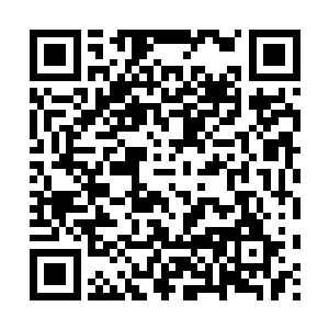 旁边的那些木系精气跟这生命气息相比顿时也显得有些黯然失色二维码生成