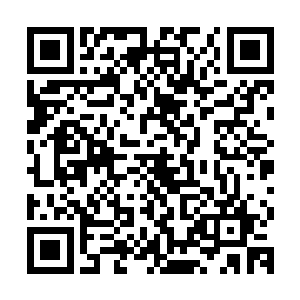 旁边的金则是用脚尖的位置轻轻的触碰了一下丁羽的脚后跟位置二维码生成