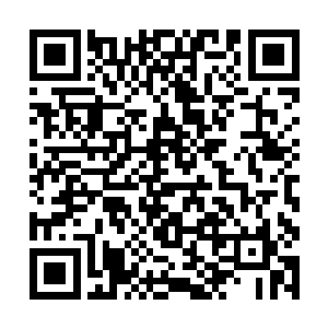 旁边那仿佛一座山一样高的聚灵丹究竟是从哪弄来的二维码生成