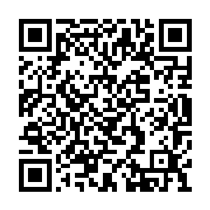 旁边领着杨开来到这里的石巨人却有些瞠目结舌二维码生成