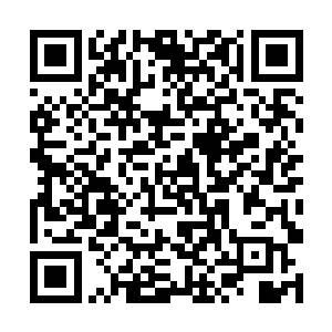 旋即一股股庞大的天地元气开始从四面八方汇集而來二维码生成