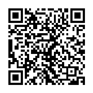 旋即便注意到悬浮在他们四人身后的那两名看似非常普通的老者二维码生成
