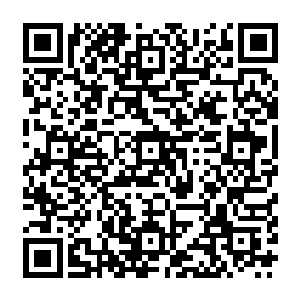 旋即就将一颗颗高阶魔核以及猎杀玄黄兽得到的数十颗七阶和八阶能量晶体全部拿了出来二维码生成