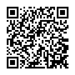 旋即就将目光转移到圣弃界那名昏睡的圣皇大圆满身上二维码生成