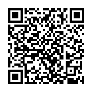 旋即就见韩子非棕白色的兽毛宛若钢针一般朝着龙宇射出二维码生成
