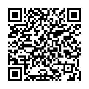 旋即径直向着被天元大陆强者抓获的那名圣弃界圣皇走去二维码生成