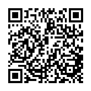 旋即心中心中对那巨大白虎的恐惧也愈加的强烈了二维码生成