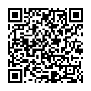 旋即所有的视线都是朝着天空里的那道曼妙身影看了过去二维码生成