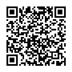 旋即纷纷对各自剑派的弟子交代一些注意事项等等二维码生成