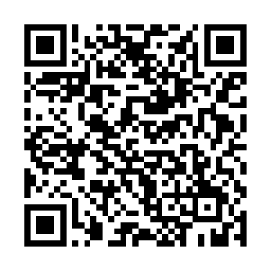 旋即脑海里立马浮现出卡塞缪尔外的告示栏上的内容二维码生成