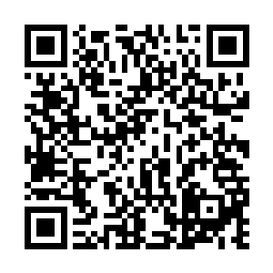 旋即走到轩辕白鹤的身边狠狠的踢了一脚轩辕白鹤二维码生成