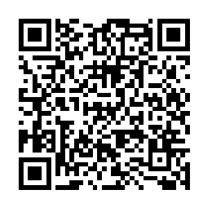 旋即这只脚豁然朝着迎面而来的巨大手指踩踏而去二维码生成