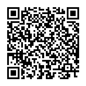 旋律接着又如鸟儿穿越森林的清越叫声和山间林木间轻轻摆动的声音二维码生成