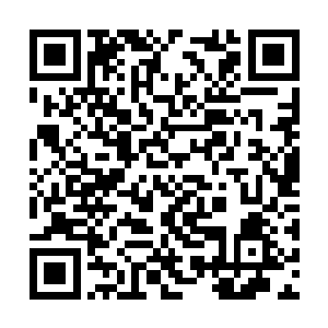 族长大人的做酸辣土豆丝的手艺就练的炉火纯青了二维码生成