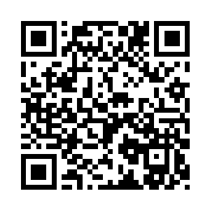 族长大人领着我们掏了几个跳鼠的树洞二维码生成