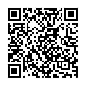 族长太太忙展开一床草绿底绣牡丹花的薄丝绵被给老太太盖了二维码生成