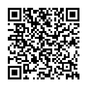 族长战辛最宠爱的嫡幼子战绝身死于大燕无名谷二维码生成