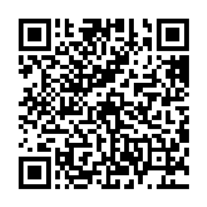 旗帜中隐隐似乎有沧桑霸道的吼叫声从无比遥远的地方响起二维码生成