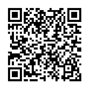 旗帜飞旋绕着万春亭几圈最后便是落在了西方一角二维码生成