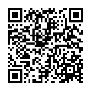 旗木西抓起强对着堕落复仇者的脑袋就扣动了扳机二维码生成