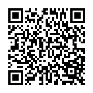 无一不让夜染这两个字在这一刻深深刻在了所有天才的心里二维码生成