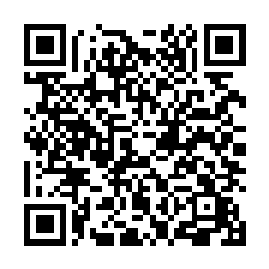 无一例外均为采取这种点对点式的招商引资取得的成果二维码生成