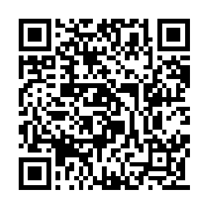 无不是在指责郧国公府以及懊悔自已的今日所为二维码生成