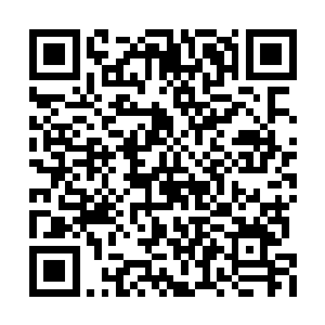 无双公子则一脸淡然的稳如泰山般的坐在座位上二维码生成