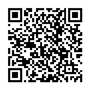 无名和柳清寒两个人此时已经和青火宗修士纠缠在一起二维码生成