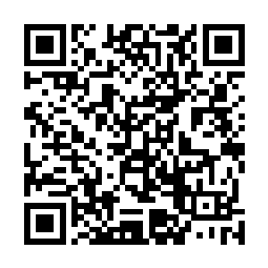 无名和柳清寒也在心中不知不觉地把许紫烟当成了主心骨二维码生成