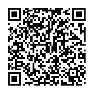 无名的脸上也是一片萧索梁之洞莫释君和莫惊鸿的脸上都流露出一丝黯然二维码生成