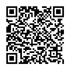 无尽之洋作为候鸟议会一手培养起来的大德鲁伊二维码生成