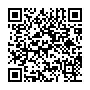 无尽之洋则是需要向候鸟议会报备这件事情的来龙去脉二维码生成