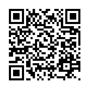 无尽之洋的生命气息仍然在不断消散二维码生成