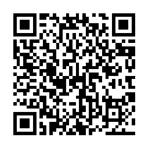 无尽海域这个距离最近的也足有万里才有海域修真者的岛屿二维码生成