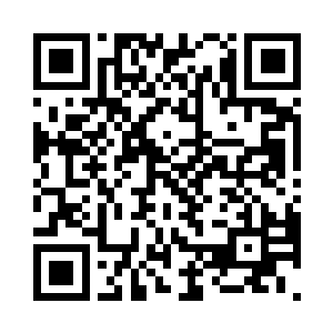 无尽盎然的情形……纵然是在无边翠林二维码生成