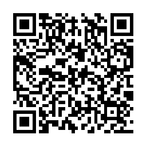 无尽蓝海的高手是不可能看着一个人类离开这里的二维码生成