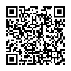 无形中多多少少也能感觉出一点明郁此刻的情绪二维码生成