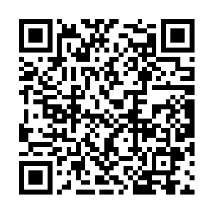 无心想要趁着血多再画一道符保护史高飞和白大千二维码生成