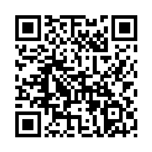 无心把枯枝狠狠插进一处砖缝中去二维码生成