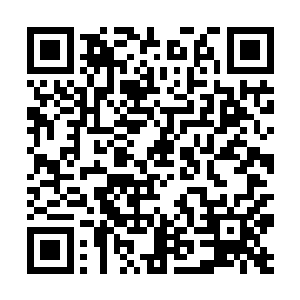 无心插柳柳成荫……而秦方今天还就碰上这个事儿了二维码生成