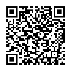 无心果对我现在伤势的恢复可是能够起到很大的作用二维码生成