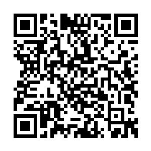 无情与果决……她会不忍身边的伙伴被无辜牺牲二维码生成