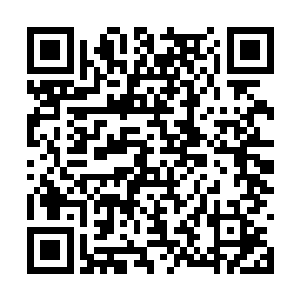 无惩罚沾满沙子和各种海藻垃圾的黑发纠结成一团二维码生成