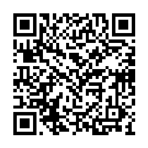 无意创造出了一个简易实用的无线信号干扰设备二维码生成