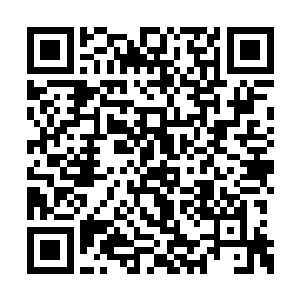 无所不能的信息生命取代盘古文明联盟统治宇宙二维码生成