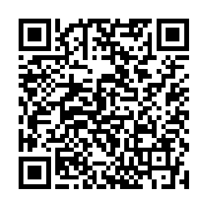 无所不能的巫师竟然宣布无法寻找的杀人凶手的痕迹二维码生成