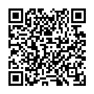 无敌防御流的大树怪在这刻真正展现出自己的强大二维码生成