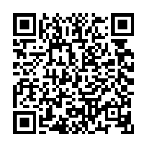 无数人都在猜测鲁道元不知道是攀上了哪棵高枝二维码生成