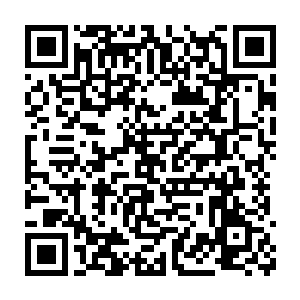 无数像花蝴蝶一样的女子莺莺燕燕的在仙气缭绕的花海山林里穿梭二维码生成